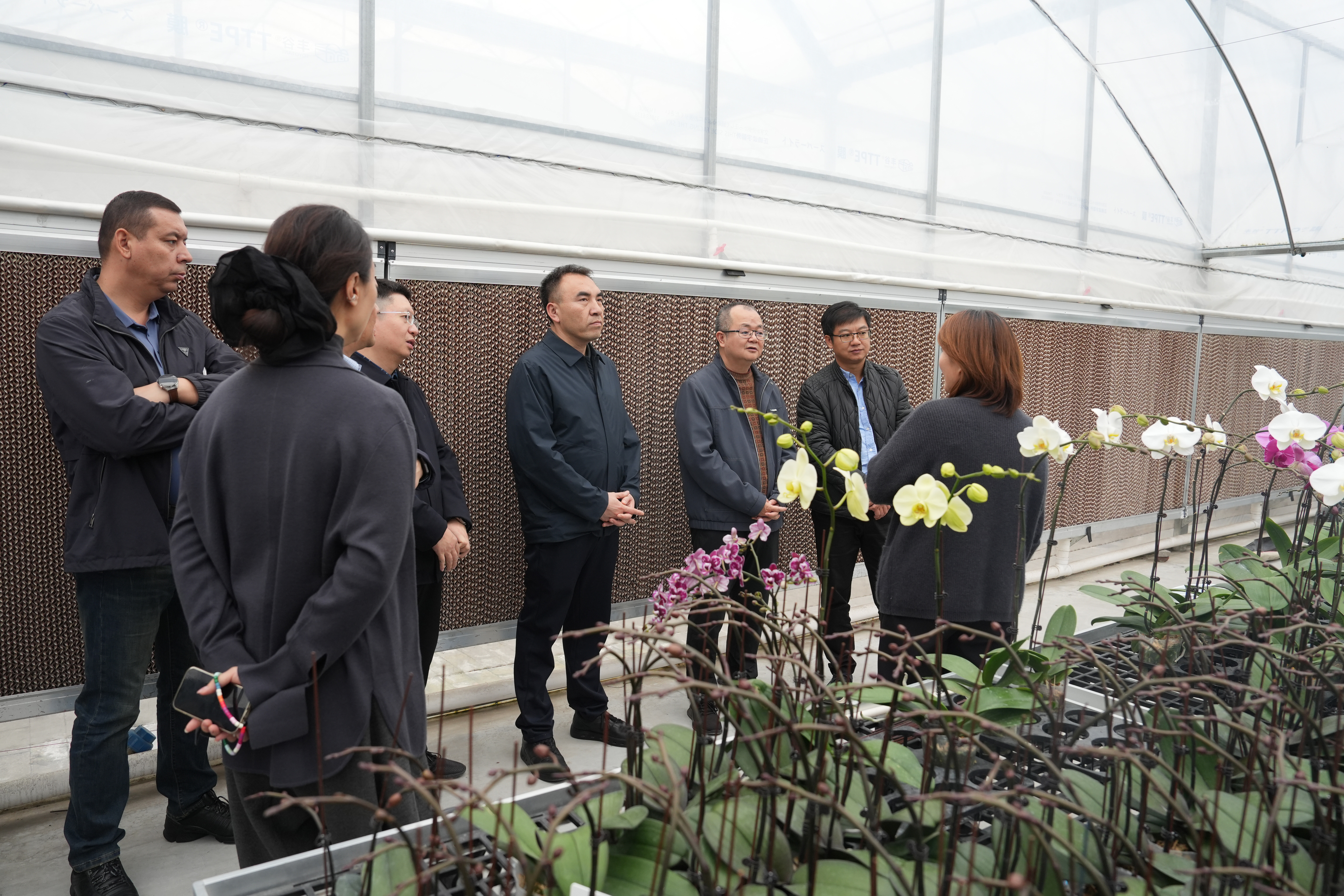 1762824506477301.jpg 1762824506477301.jpg